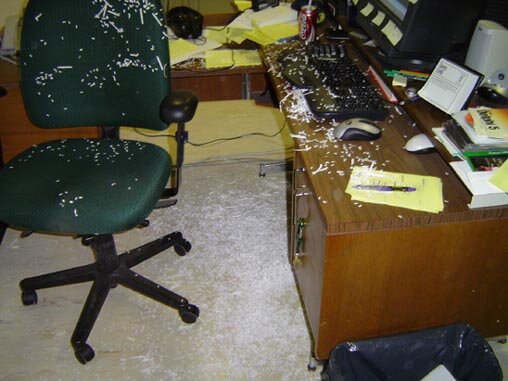 Shredder Madness: What happens when you leave for lunch in the office