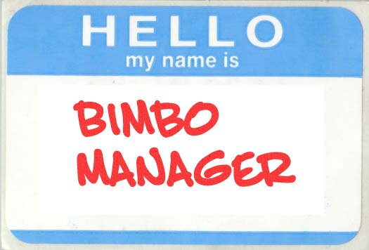 Hello My Name is: Bimbo Manager: For the Bimbo Manager in the company (in case the outfits don't give it away)