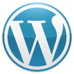 We Specialize in WordPress Development and Customization