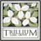 Trillium Website Design and Development