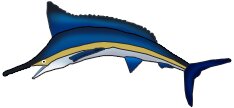 Blue Marlin Picture