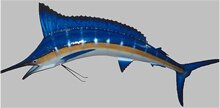 Blue Marlin